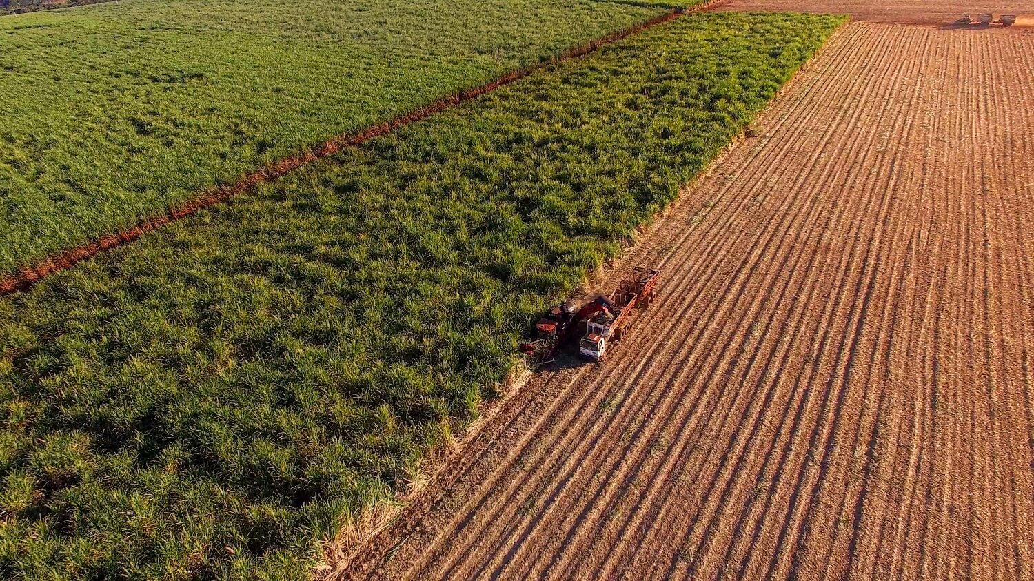 Agrotech: 5 oportunidades para inovar no agronegócio com soluções financeiras